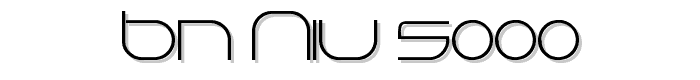 BN Niv 5000 font